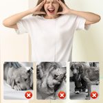 🔥Flea & Tick Repellent Spray for Cats and Dogs - Image 8